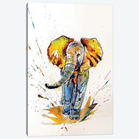 Colorful Elephant VI Canvas Print #AKV23} by Anna Brigitta Kovacs Canvas Artwork