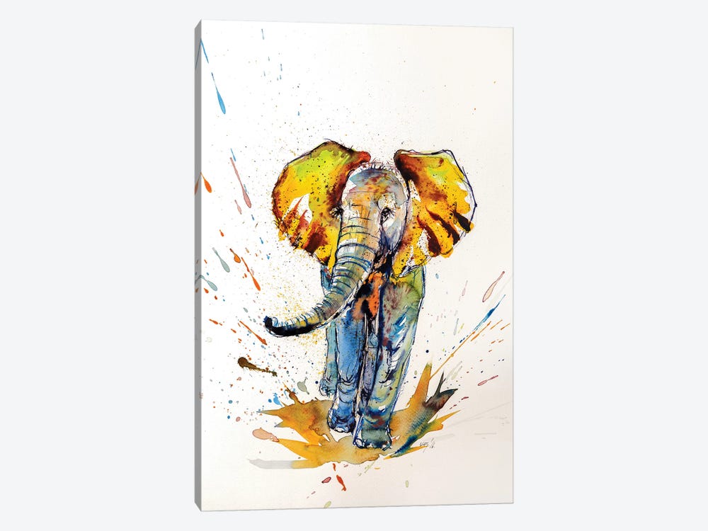Colorful Elephant VI by Anna Brigitta Kovacs 1-piece Canvas Art Print