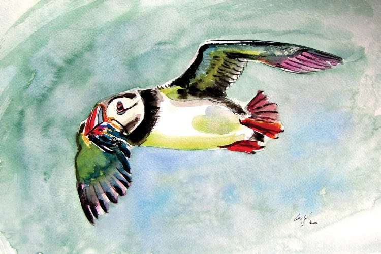 Flying Puffin