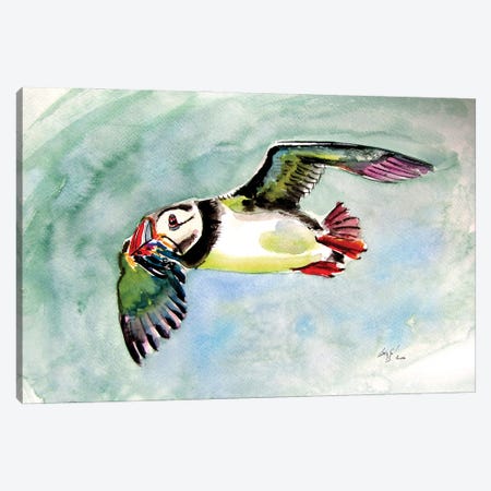 Flying Puffin Canvas Print #AKV240} by Anna Brigitta Kovacs Canvas Wall Art