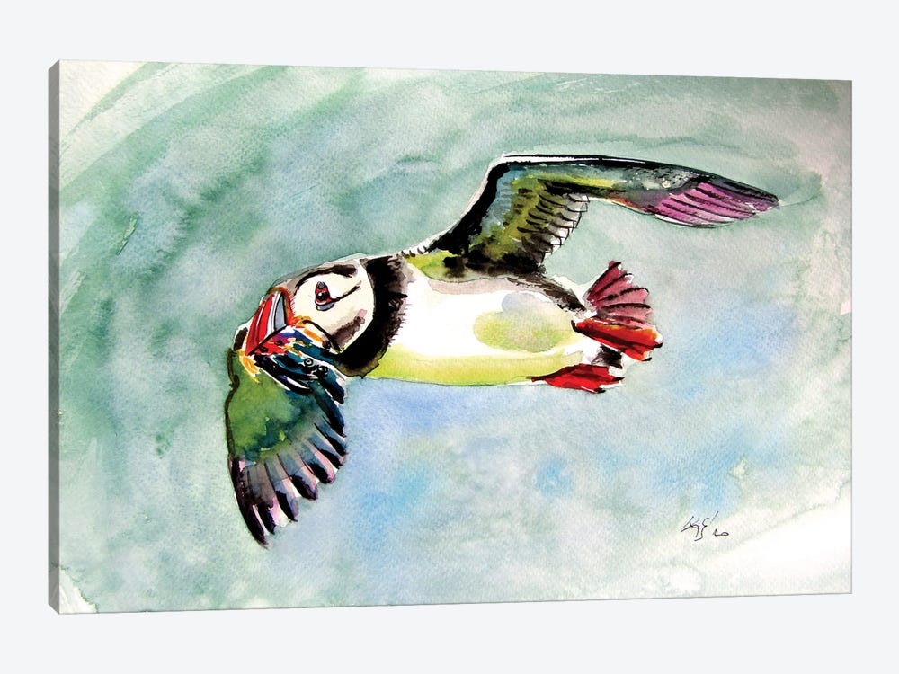 Flying Puffin by Anna Brigitta Kovacs 1-piece Art Print
