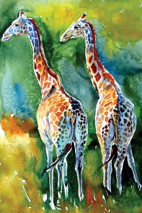 Giraffes On The Field