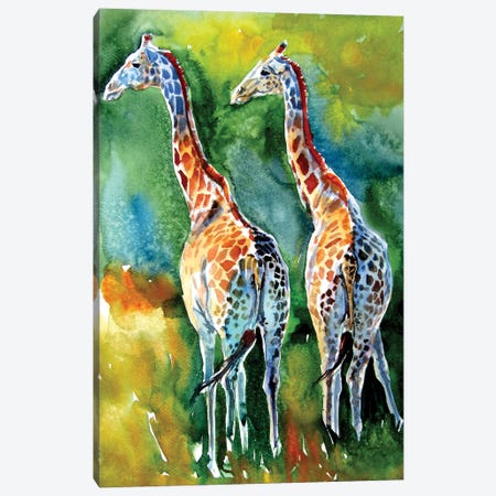 Giraffes On The Field Canvas Print #AKV245} by Anna Brigitta Kovacs Art Print