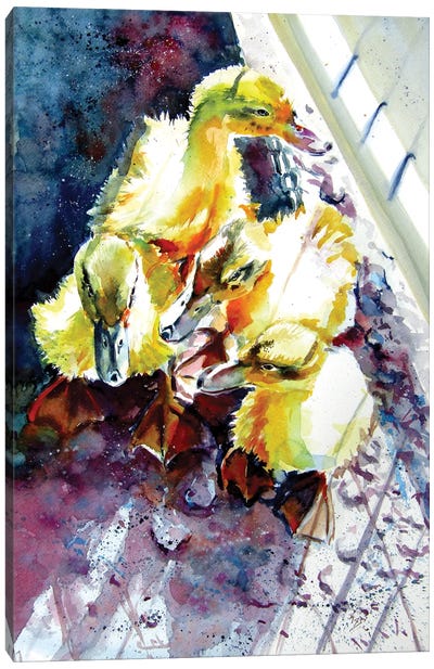 Gosling Canvas Art Print - Goose Art