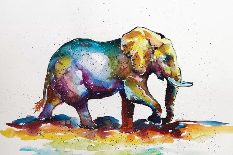 Colorful Elephant VII