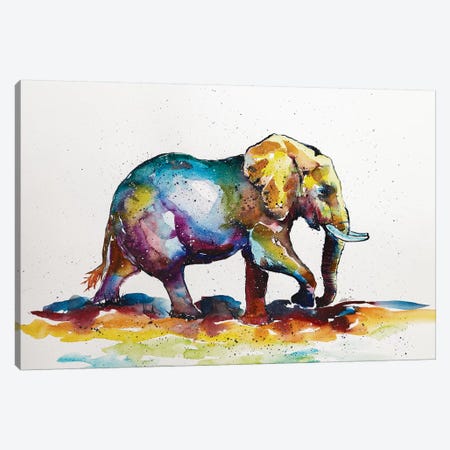 Colorful Elephant VII Canvas Print #AKV24} by Anna Brigitta Kovacs Canvas Print