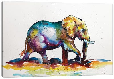 Colorful Elephant VII Canvas Art Print - Anna Brigitta Kovacs