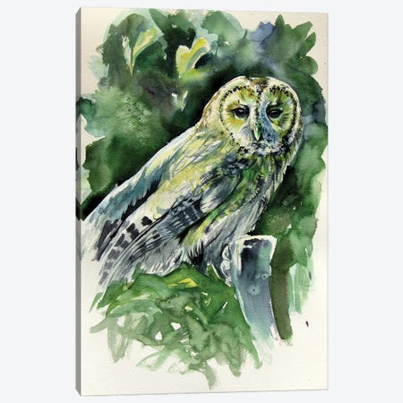 Majestic Owl Canvas Print #AKV259} by Anna Brigitta Kovacs Art Print