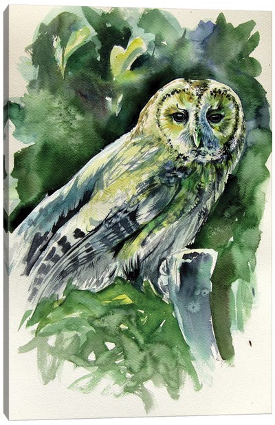 Majestic Owl Canvas Art Print - Anna Brigitta Kovacs