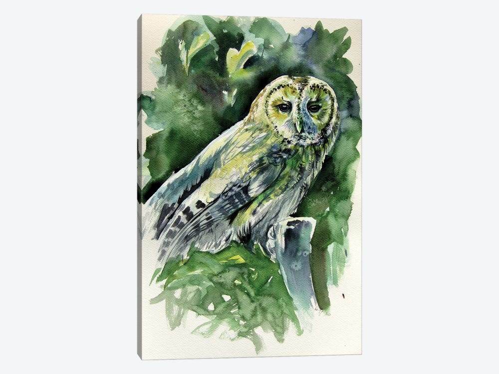 Majestic Owl by Anna Brigitta Kovacs 1-piece Art Print