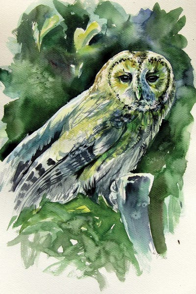 Anna Brigitta Kovacs: Majestic Owl by Anna Brigitta Kovacs