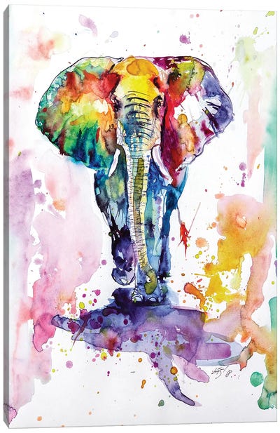 Colorful Elephant Walking Canvas Art Print - Anna Brigitta Kovacs