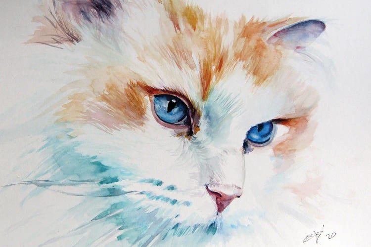 Cat Portrait I