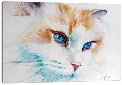 Cat Portrait I Canvas Art Print - Anna Brigitta Kovacs