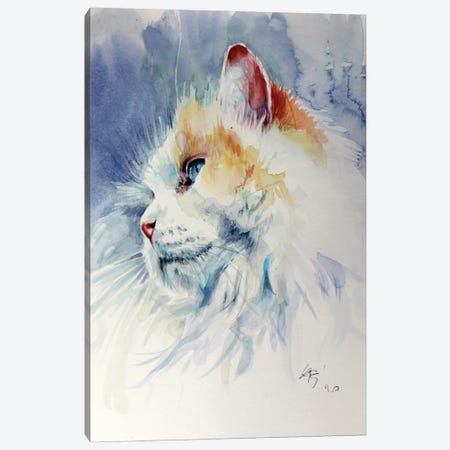 Cat Portrait II Canvas Print #AKV271} by Anna Brigitta Kovacs Canvas Art Print