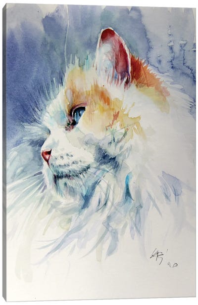 Cat Portrait II Canvas Art Print - Anna Brigitta Kovacs