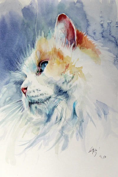 Anna Brigitta Kovacs: Cat Portrait II by Anna Brigitta Kovacs