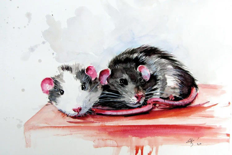 Rats by Anna Brigitta Kovacs wall art