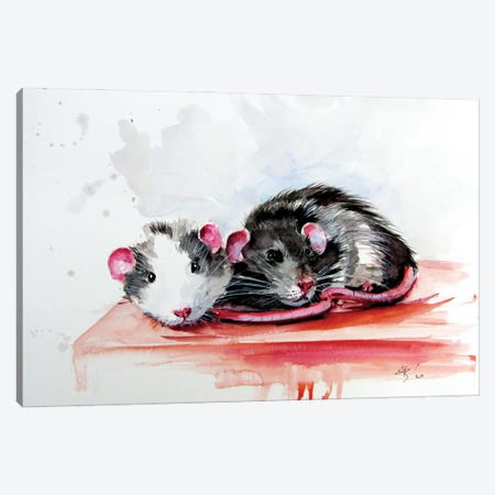 Rats Canvas Print #AKV273} by Anna Brigitta Kovacs Canvas Print