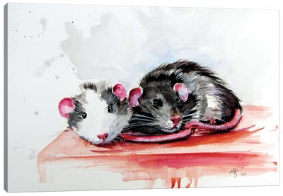 Rats Canvas Art Print - Anna Brigitta Kovacs