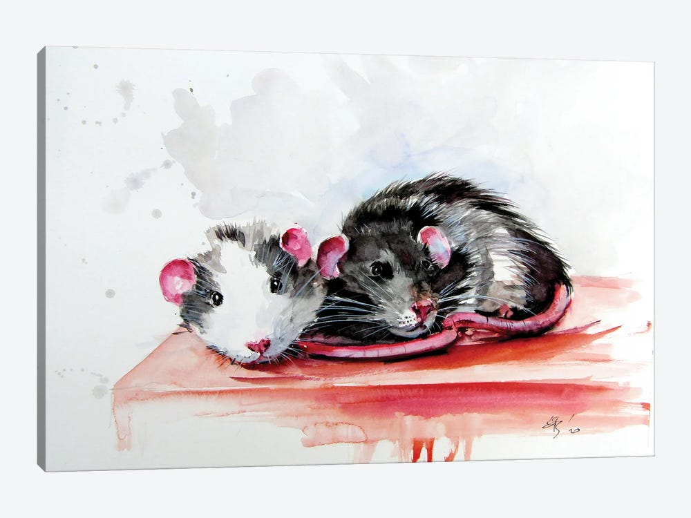 Rats by Anna Brigitta Kovacs 1-piece Canvas Art Print