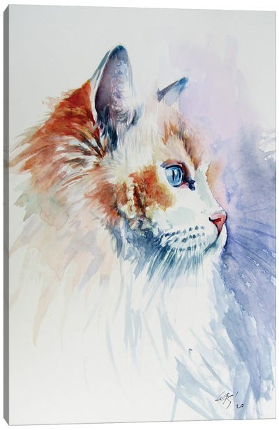 Cat Portrait III Canvas Art Print - Anna Brigitta Kovacs