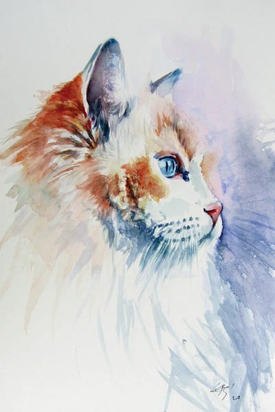 Anna Brigitta Kovacs: Cat Portrait III by Anna Brigitta Kovacs