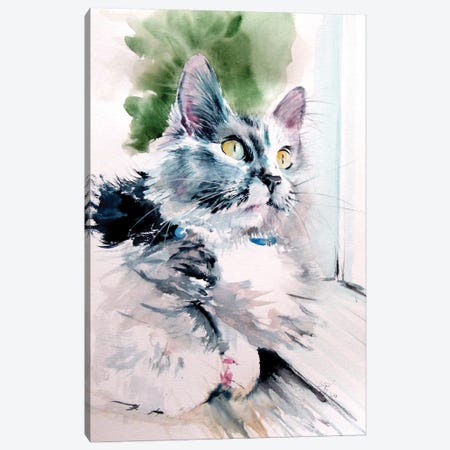 Cat In Front Of The Window Canvas Print #AKV278} by Anna Brigitta Kovacs Canvas Print