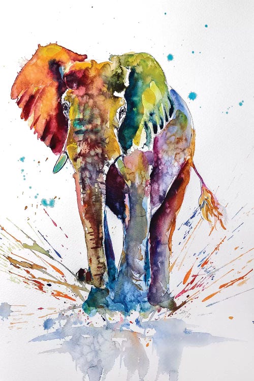 Cute Colorful Elephant