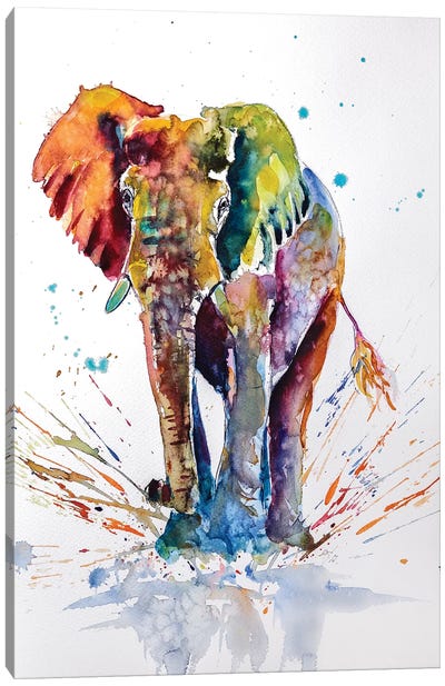 Cute Colorful Elephant Canvas Art Print - Anna Brigitta Kovacs