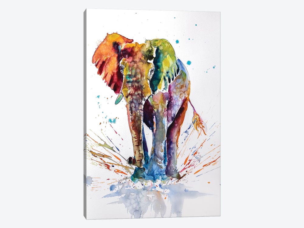 Cute Colorful Elephant by Anna Brigitta Kovacs 1-piece Canvas Art Print