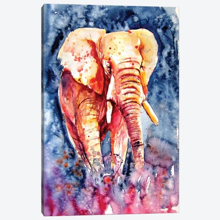 Majestic Elephant Alone II Canvas Print #AKV281} by Anna Brigitta Kovacs Canvas Artwork