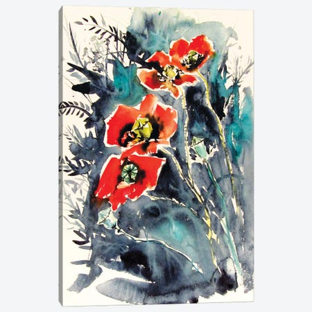 Some Poppies II Canvas Print #AKV284} by Anna Brigitta Kovacs Art Print