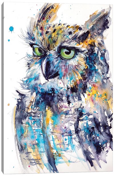 Cute Owl Canvas Art Print - Anna Brigitta Kovacs