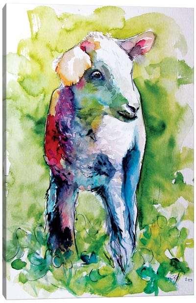 Cute Lamb Canvas Art Print - Anna Brigitta Kovacs