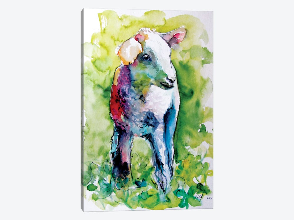 Cute Lamb by Anna Brigitta Kovacs 1-piece Canvas Art