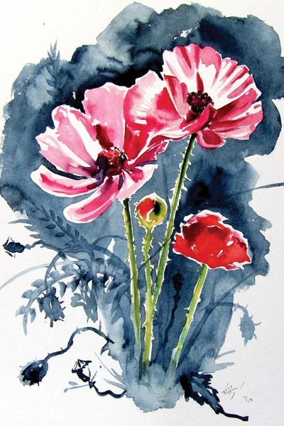 Some Poppy Flowers by Anna Brigitta Kovacs framed wall art