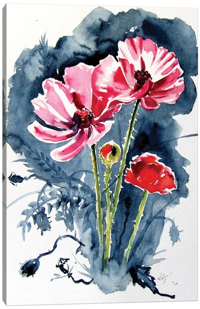 Some Poppy Flowers Canvas Art Print - Anna Brigitta Kovacs