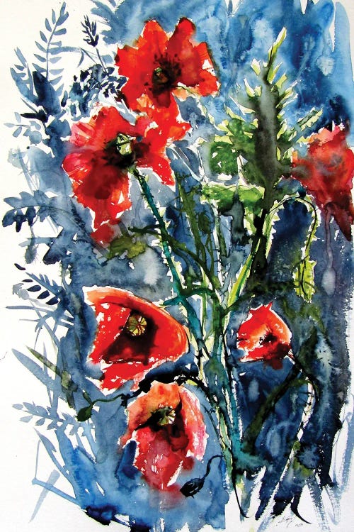 Wild Poppies