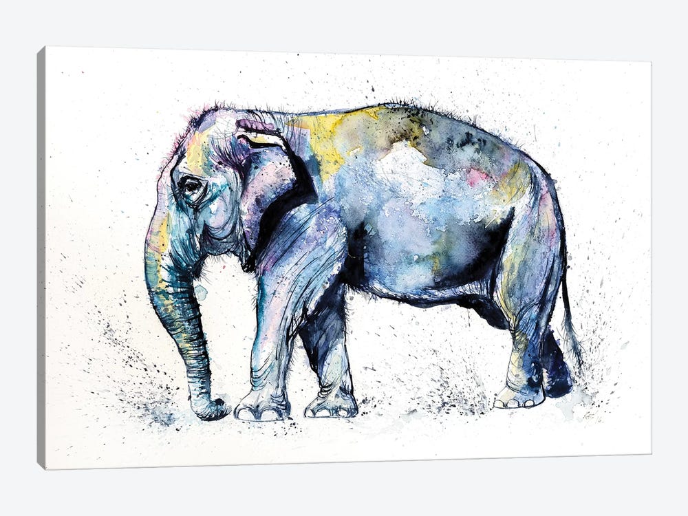 Elephant by Anna Brigitta Kovacs 1-piece Canvas Print