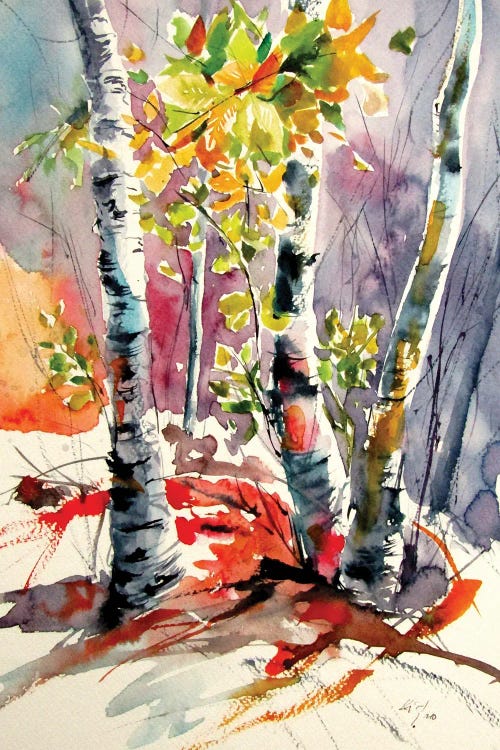 Autumn Forest Impression