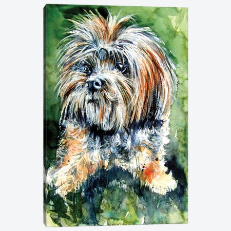 Cute Dog Canvas Print #AKV309} by Anna Brigitta Kovacs Canvas Art Print