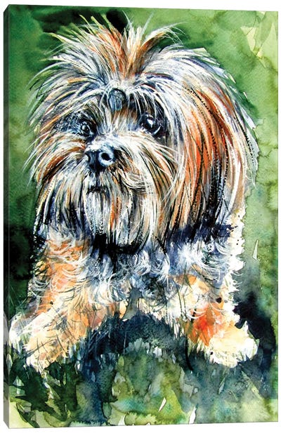 Cute Dog Canvas Art Print - Yorkshire Terrier Art