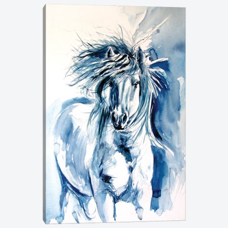 Majestic Horse Running II Canvas Print #AKV334} by Anna Brigitta Kovacs Canvas Art Print