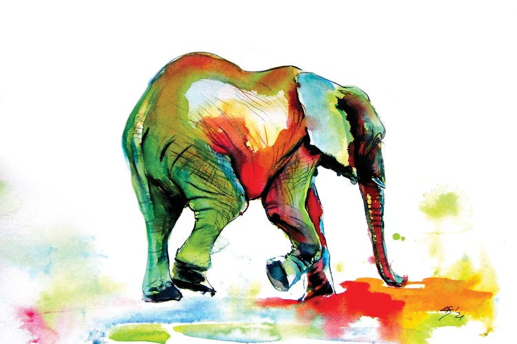 Colorful Elephant Alone Ii