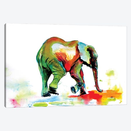 Colorful Elephant Alone Ii Canvas Print #AKV336} by Anna Brigitta Kovacs Art Print