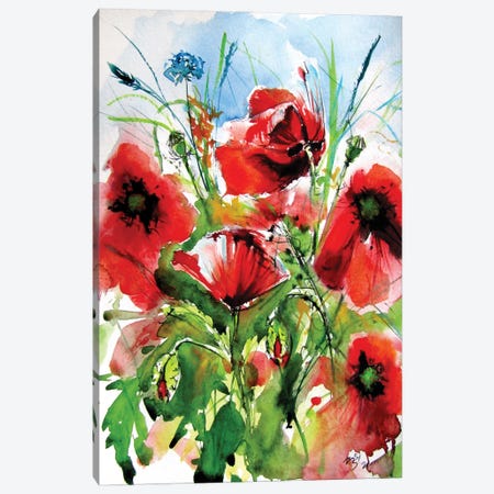 Red Poppies Canvas Print #AKV340} by Anna Brigitta Kovacs Art Print