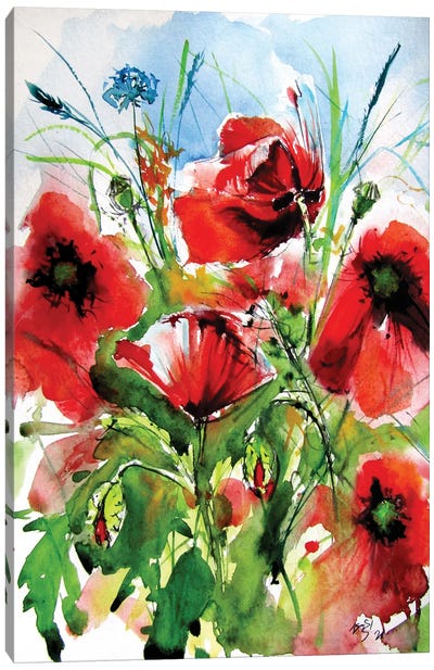 Red Poppies Canvas Art Print - Anna Brigitta Kovacs