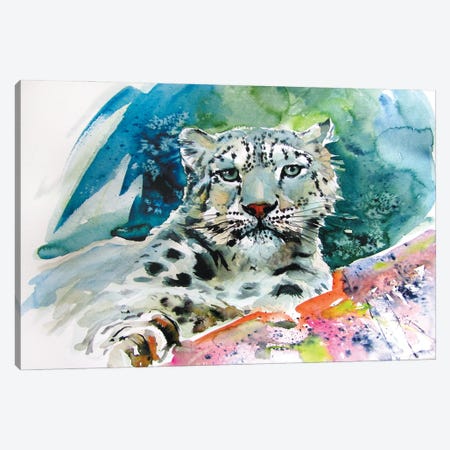 Snow Leopard II Canvas Print #AKV341} by Anna Brigitta Kovacs Canvas Art Print