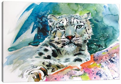 Snow Leopard II Canvas Art Print - Leopard Art